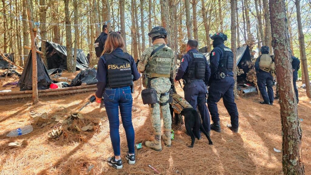 Personal de la Guardia Civil y fuerzas federales durante el operativo para inhabilitar un campamento clandestino en Milpillas, Queréndaro.