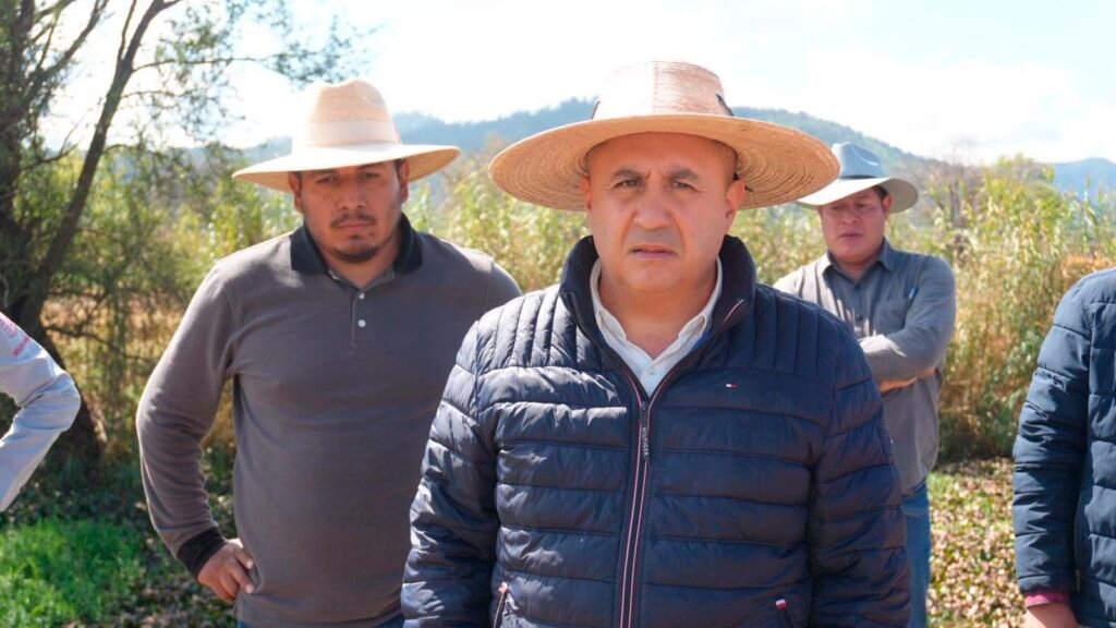 Maquinaria acuática retira lirio y tule en el lago de Cuitzeo como parte del programa de rehabilitación impulsado por Compesca.