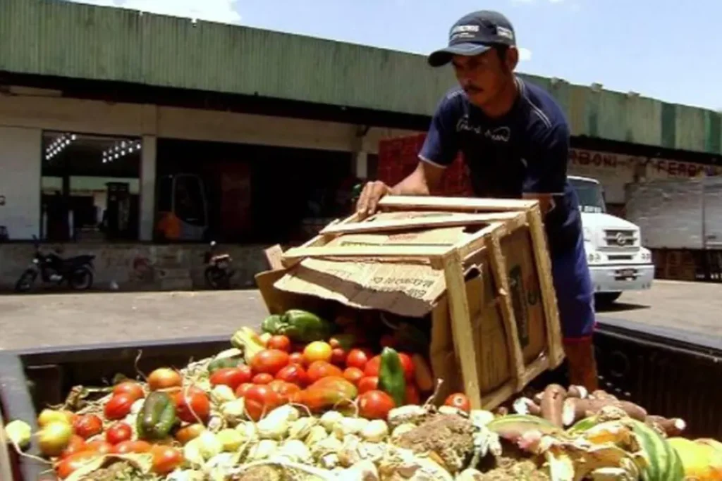 En Morelia, el académico Luis F. González advierte que México tira hasta 30 millones de toneladas de alimentos, colocándolo entre los países con más desperdicio.