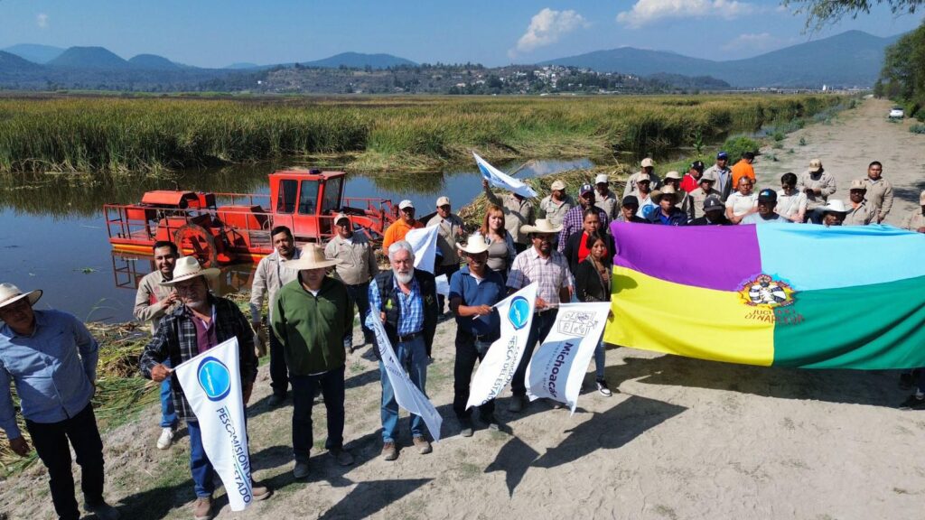 Maquinaria realiza desazolve y retiro de lirio acuático en el canal de Jarácuaro, lago de Pátzcuaro.