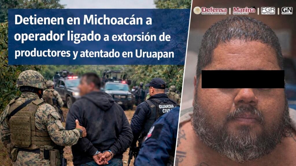Autoridades federales y estatales detuvieron en Michoacán a un presunto operador criminal vinculado con extorsión a productores y el atentado en Uruapan.