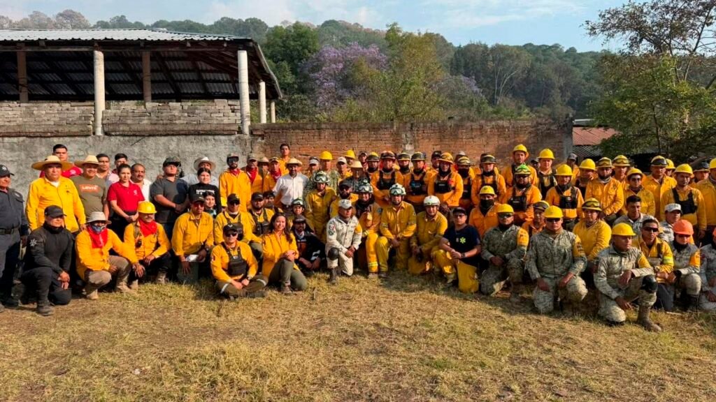 Brigadistas combatiendo incendio forestal en Tzitzio