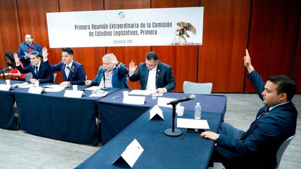 Comisión del Senado aprueba declarar el 9 de marzo como Día Nacional Sin Nosotras