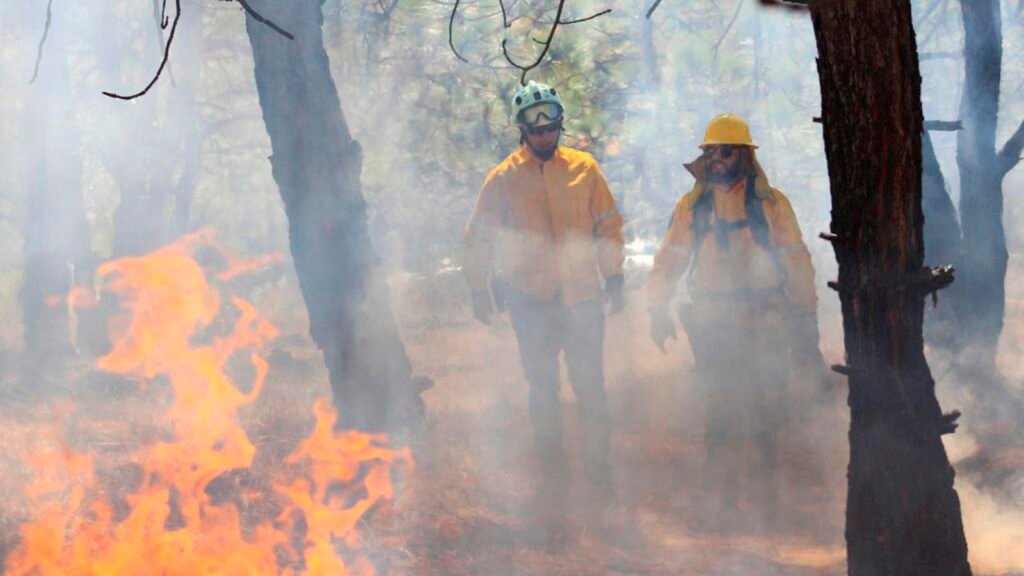 Brigadistas y voluntarios combaten incendio forestal en Michoacán