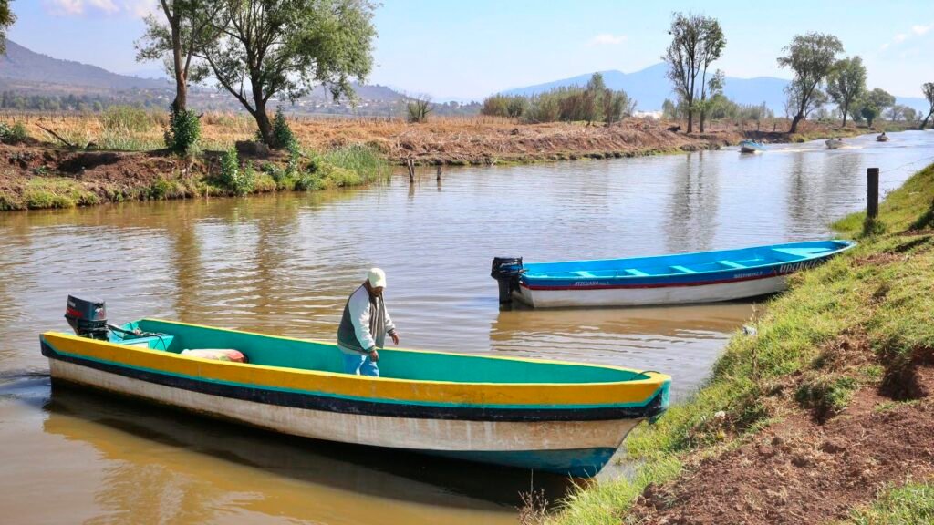 Trabajos de desazolve en canales del lago de Pátzcuaro