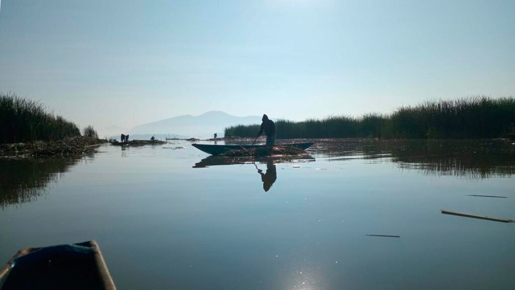 Manantiales emergiendo en el lago de Pátzcuaro