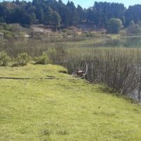 Lago de Zirahuén en crisis ambiental por extracción ilegal de agua