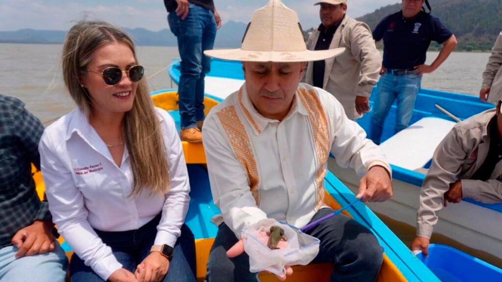 Ramón Hernández Orozco anuncia siembra de achoque en Pátzcuaro