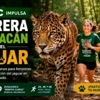 Presentan la Carrera Michoacán por el Jaguar en Morelia