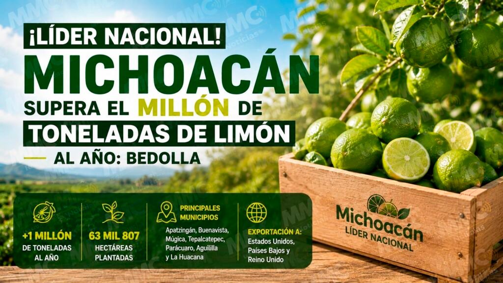 Productores trabajan en huertos de limón en Michoacán
