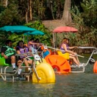 Triciclos acuáticos en el lago del Zoológico de Morelia