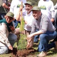 Alfredo Ramírez Bedolla anuncia la jornada de reforestación en Michoacán.