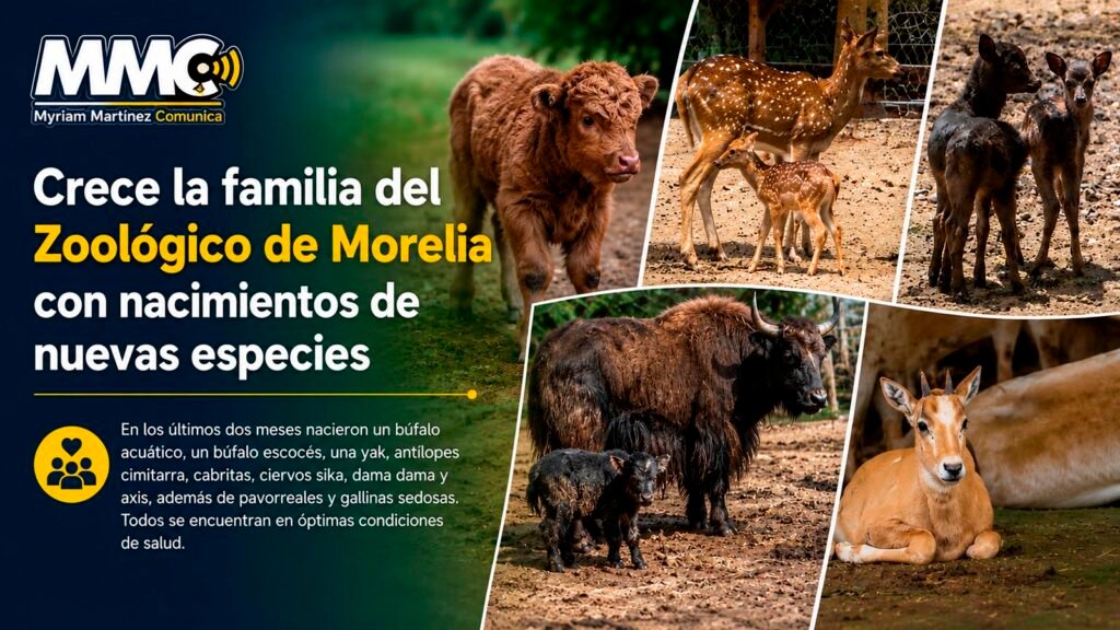 Nuevos ejemplares nacidos en el Zoológico de Morelia bajo programas de conservación.
