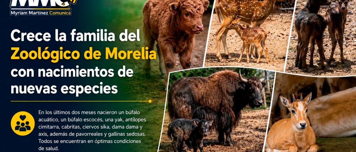 Nuevos ejemplares nacidos en el Zoológico de Morelia bajo programas de conservación.