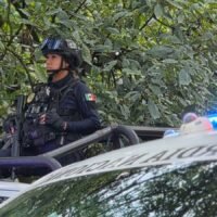 Elementos de la Guardia Nacional realizan vigilancia en una huerta de aguacate en Uruapan.