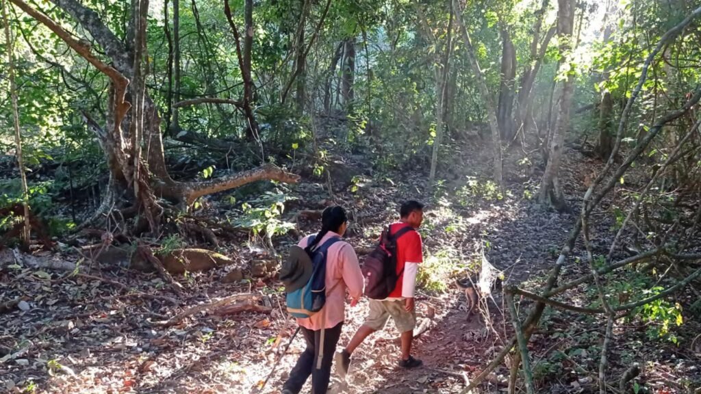 Familias recorren áreas naturales protegidas de Michoacán durante las vacaciones de verano.