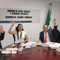 Integrantes de la Comisión de Medio Ambiente durante una sesión de trabajo en la Cámara de Diputados.