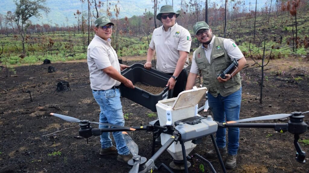Drone agrícola dispersa germoesferas para reforestar bosques en Michoacán.