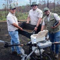 Drone agrícola dispersa germoesferas para reforestar bosques en Michoacán.