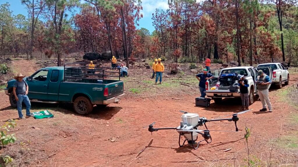 Dron dispersa germoesferas durante labores de reforestación en una zona afectada por incendios en Michoacán.