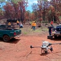 Dron dispersa germoesferas durante labores de reforestación en una zona afectada por incendios en Michoacán.