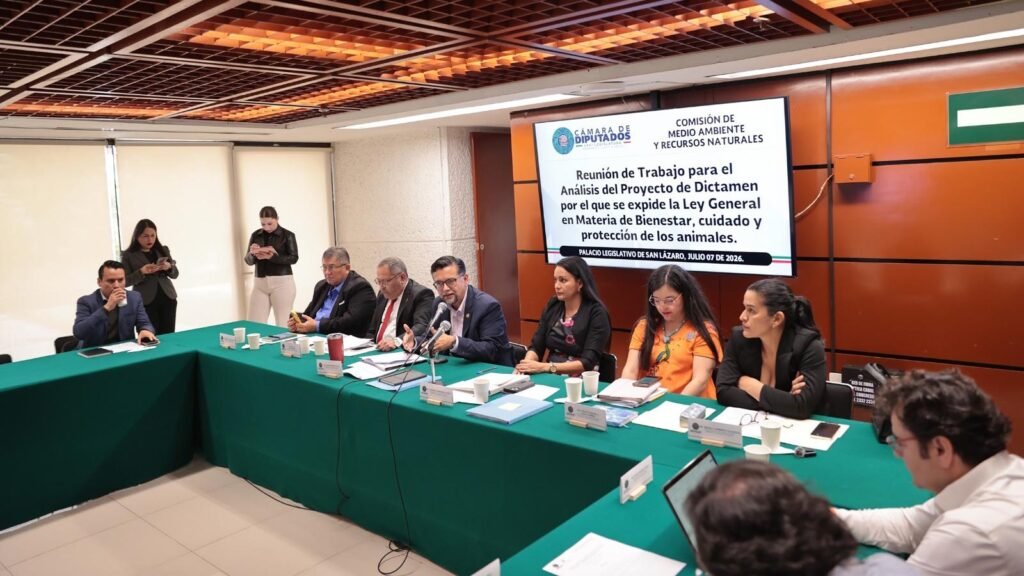 La Comisión de Medio Ambiente y la Semarnat revisan el dictamen de la Ley General de Bienestar Animal, que busca fortalecer la protección de los animales y armonizar la legislación vigente.