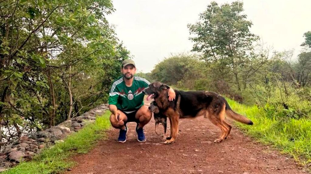 El diputado Octavio Ocampo reiteró su propuesta para crear Institutos Municipales de Protección Animal que promuevan la tenencia responsable y prevengan el maltrato animal en Michoacán.
