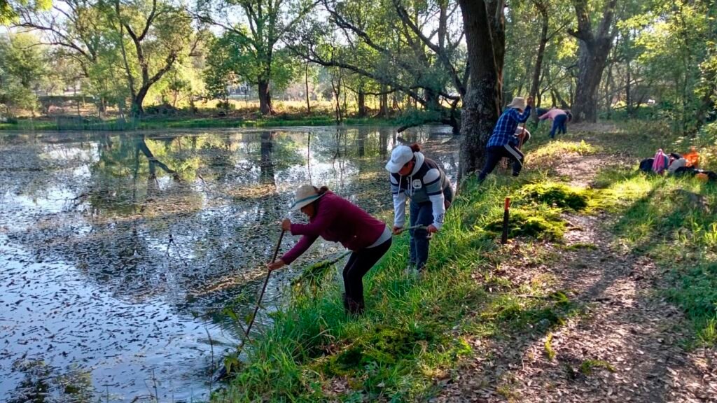 Trabajos de rehabilitación de manantiales durante el rescate del lago de Pátzcuaro.