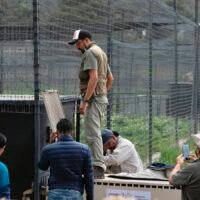 Personal especializado atiende fauna silvestre rescatada en el Zoológico de Morelia.