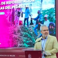 Arbolado de Tres Puentes que será conservado durante las obras del Morebús en Morelia