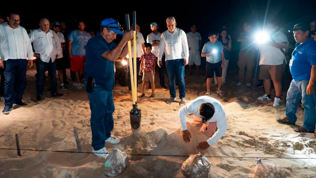 Alfredo Ramírez Bedolla supervisa labores de protección de tortugas marinas en Colola, Aquila.