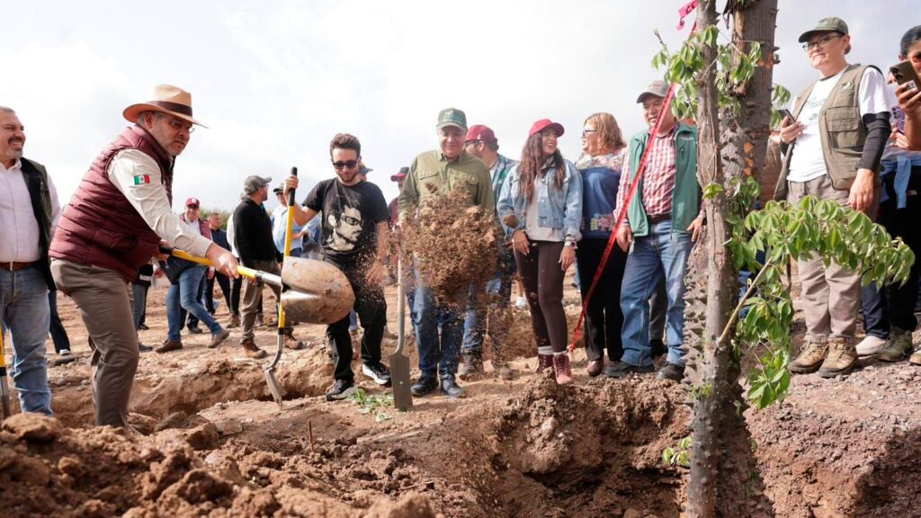 El Gobierno de Michoacán realizó una segunda jornada de reforestación vinculada al Morebús con 2 mil 500 árboles; el programa de compensación ambiental contempla 32 mil ejemplares.