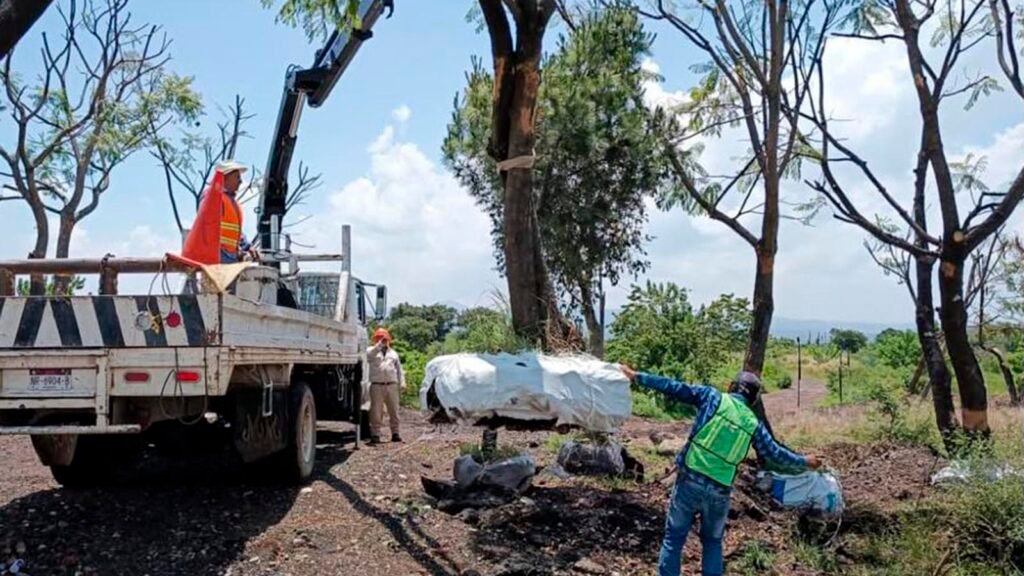 Corredor ecológico en Tres Puentes integrará árboles trasplantados y especies nativas en Morelia