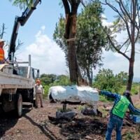 Corredor ecológico en Tres Puentes integrará árboles trasplantados y especies nativas en Morelia
