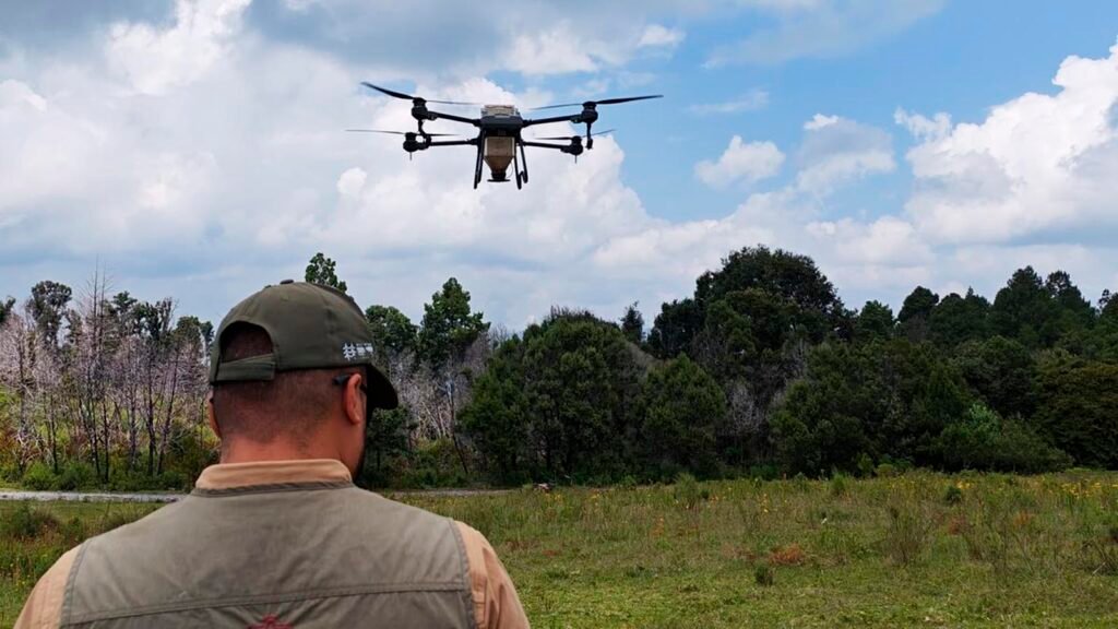 Drones dispersan germoesferas para restaurar bosques de Tlalpujahua