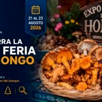 Expo Feria del Hongo de Senguio 2026 en Michoacán