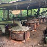 Presunto narcolaboratorio localizado entre Los Reyes y Peribán, Michoacán