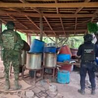 Laboratorio clandestino desmantelado por fuerzas de seguridad en Chuta, Lázaro Cárdenas.