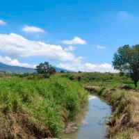 Excavadoras realizan trabajos de limpieza y desazolve del canal entre La Mintzita y San Juanito Itzícuaro en Morelia.