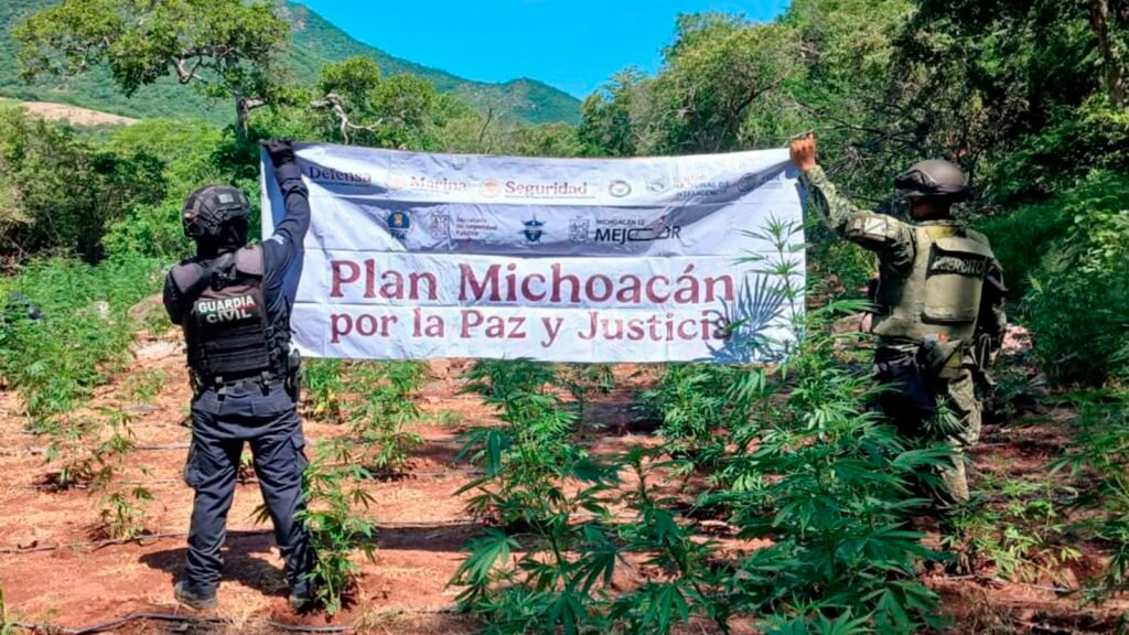 Elementos de SSP y Defensa durante operativo en plantíos de marihuana en Huetamo.