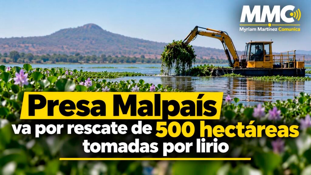 Michoacán ampliará a 500 hectáreas la limpieza de lirio acuático en la presa Malpaís, un embalse clave para productores agrícolas y pesqueros de cinco municipios.