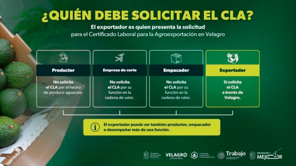 Alfredo Ramírez Bedolla aclaró que los pequeños productores con huertas familiares de aguacate menores de cinco hectáreas no están obligados a tramitar el Certificado Laboral para la Agroexportación. La solicitud mediante Velagro corresponde a los exportadores.